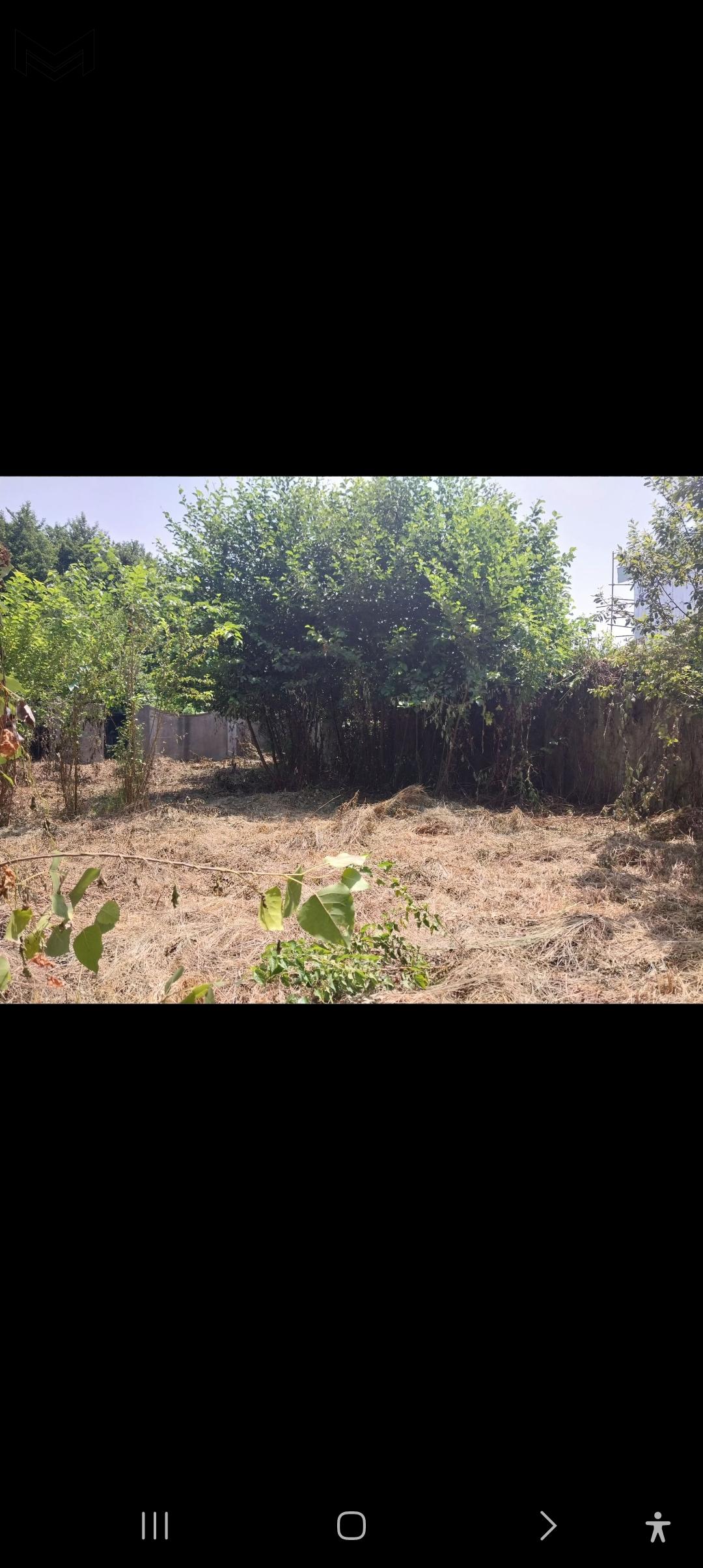 چاپارخانه/1640 متر زمین/سه سند تک برگ مجزا