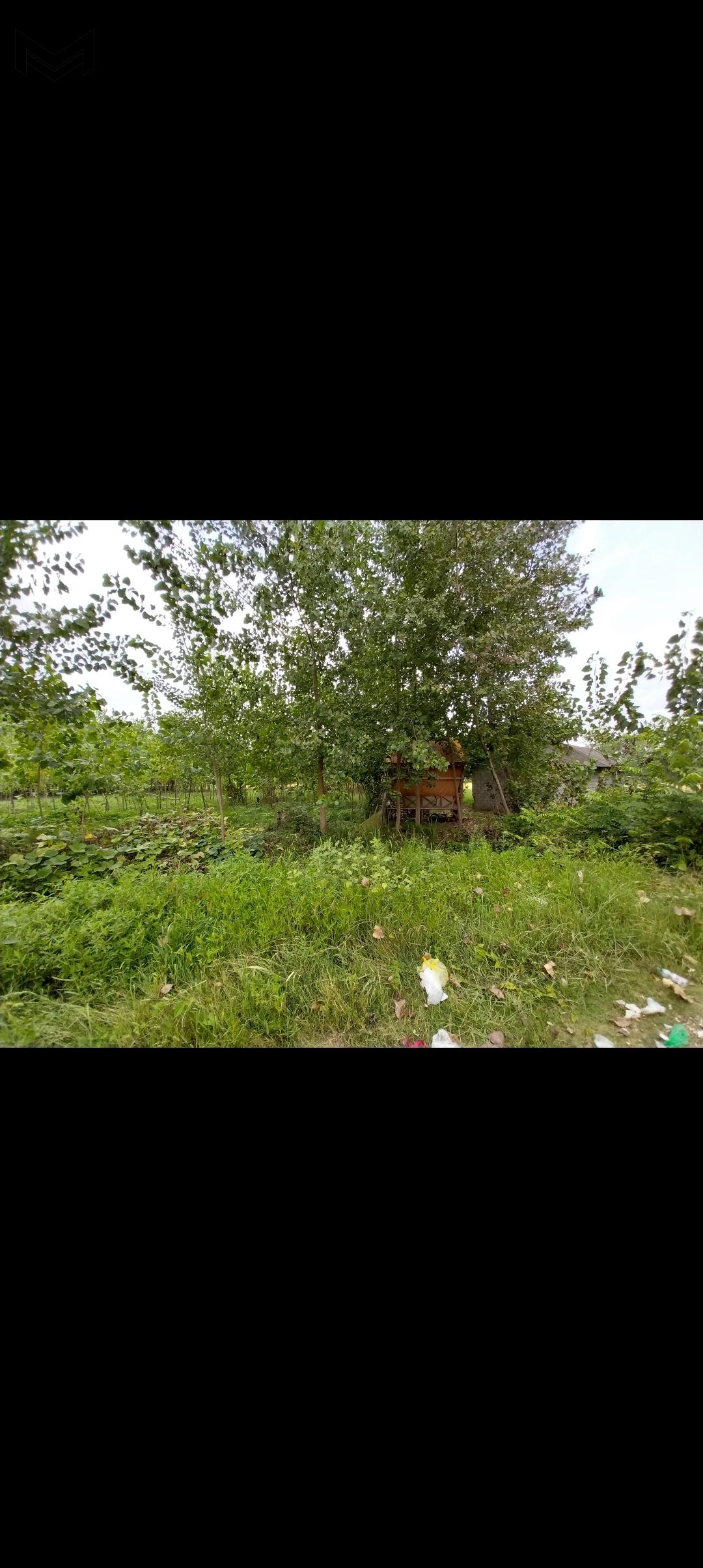 کویشا /20 هکتار زمین بصورت یکجا
